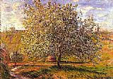 Famous Tree Paintings - Tree in Flower near Vetheuil